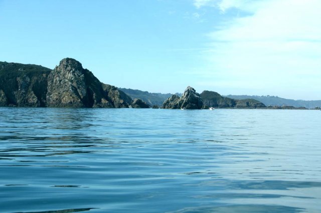 Sortie en mer